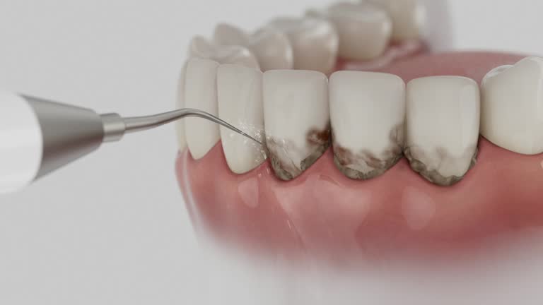 Reliable Dental contractor in Cumberland, WI by Dentist Open Now